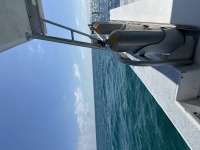 Great day of scuba diving in Key Largo with Rainbow Reef on the horseshoe tropical destiny 2023 11 01 r14799 1