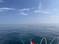 Great day of scuba diving in Key Largo with Rainbow Reef on benwood wreck tropical odyssey 2023 10 10 r14729 1