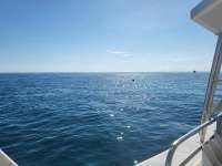 Great day of scuba diving in Key Largo with Rainbow Reef on eagle ray alley tropical legend 2023 10 07 r14716 1