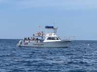 Great day of scuba diving in Key Largo with Rainbow Reef on french reef tropical legend 2023 10 22 r14776 1