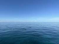 Great day of scuba diving in Key Largo with Rainbow Reef on french twist tropical destiny 2023 10 07 r14712 1