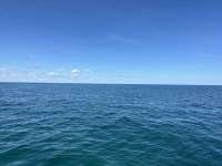 Great day of scuba diving in Key Largo with Rainbow Reef on minnow cave tropical odyssey 2023 10 15 r14750 1