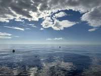Great day of scuba diving in Key Largo with Rainbow Reef on spiegel grove tropical legend 2023 10 08 r14719 1