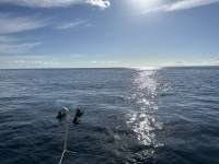 Great day of scuba diving in Key Largo with Rainbow Reef on uscgc duane tropical odyssey 2023 10 06 r14709 1