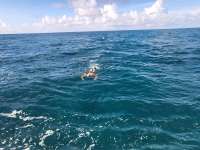 Great day of scuba diving in Key Largo with Rainbow Reef on benwood wreck tropical legend 2023 09 30 r14684 1
