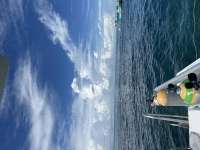 Great day of scuba diving in Key Largo with Rainbow Reef on christ statue tropical destiny 2023 09 29 r14680 1