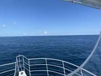 Great day of scuba diving in Key Largo with Rainbow Reef on conch wall tropical legend 2023 09 13 r14614 1