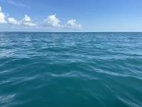 Great day of scuba diving in Key Largo with Rainbow Reef on crf nursery tropical voyager 2023 09 01 r14549 1