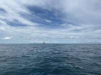 Great day of scuba diving in Key Largo with Rainbow Reef on eagle ray alley tropical odyssey 2023 09 28 r14676 1
