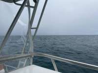 Great day of scuba diving in Key Largo with Rainbow Reef on hole in the wall tropical legend 2023 09 03 r14563 1