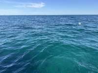 Great day of scuba diving in Key Largo with Rainbow Reef on snapper ledge tropical odyssey 2023 09 22 r14649 1