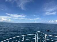 Great day of scuba diving in Key Largo with Rainbow Reef on student classes trip tropical odyssey 2023 09 22 r14652 1