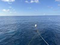 Great day of scuba diving in Key Largo with Rainbow Reef on uscgc duane tropical odyssey 2023 09 15 r14621 1