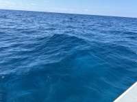 Great day of scuba diving in Key Largo with Rainbow Reef on benwood wreck tropical odyssey 2024 04 24 r15483 1