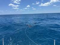 Great day of scuba diving in Key Largo with Rainbow Reef on christmastree cave tropical odyssey 2024 04 25 r15487 1