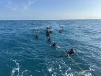 Great day of scuba diving in Key Largo with Rainbow Reef on french reef tropical serenity 2024 04 03 r15355 1