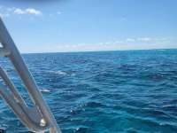 Great day of scuba diving in Key Largo with Rainbow Reef on nine channel tropical destiny 2024 04 26 r15492 1