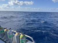Great day of scuba diving in Key Largo with Rainbow Reef on spiegel grove tropical legend 2024 04 17 r15428 1