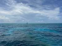Great day of scuba diving in Key Largo with Rainbow Reef on aquarium tropical destiny 2024 08 06 r16227 1
