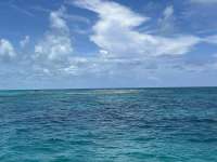 Great day of scuba diving in Key Largo with Rainbow Reef on banana patch tropical serenity 2024 08 01 r16202 1