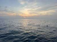 Great day of scuba diving in Key Largo with Rainbow Reef on benwood wreck tropical destiny 2024 08 20 r16351 1