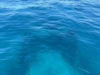 Great day of scuba diving in Key Largo with Rainbow Reef on benwood wreck tropical odyssey 2024 08 10 r16263 1