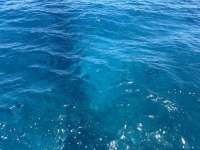 Great day of scuba diving in Key Largo with Rainbow Reef on benwood wreck tropical odyssey 2024 08 22 r16365 1