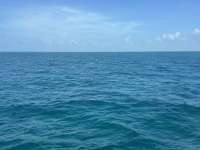 Great day of scuba diving in Key Largo with Rainbow Reef on benwood wreck tropical serenity 2024 08 12 r16280 3