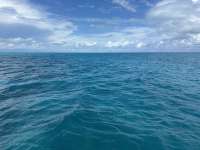 Great day of scuba diving in Key Largo with Rainbow Reef on christ statue tropical destiny 2024 08 31 r16413 1