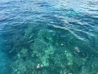 Great day of scuba diving in Key Largo with Rainbow Reef on christ statue tropical serenity 2024 08 14 r16299 1