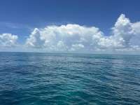 Great day of scuba diving in Key Largo with Rainbow Reef on christmastree cave tropical destiny 2024 08 14 r16298 1