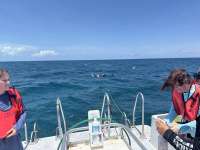 Great day of scuba diving in Key Largo with Rainbow Reef on christmastree cave tropical serenity 2024 08 07 r16236 1