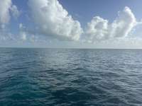 Great day of scuba diving in Key Largo with Rainbow Reef on christmastree cave tropical serenity 2024 08 12 r16278 2