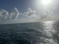 Great day of scuba diving in Key Largo with Rainbow Reef on christmastree cave tropical serenity 2024 08 12 r16278 3