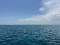 Great day of scuba diving in Key Largo with Rainbow Reef on city of washington tropical destiny 2024 08 21 r16358 1