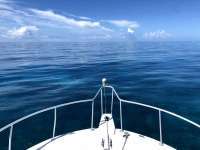 Great day of scuba diving in Key Largo with Rainbow Reef on conch wall north tropical odyssey 2024 08 14 r16300 1