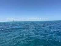 Great day of scuba diving in Key Largo with Rainbow Reef on coral canyons tropical serenity 2024 08 12 r16282 1