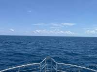 Great day of scuba diving in Key Largo with Rainbow Reef on drift conch wall tropical odyssey 2024 08 07 r16237 1