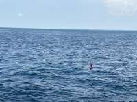 Great day of scuba diving in Key Largo with Rainbow Reef on drift conch wall tropical odyssey 2024 08 21 r16357 1