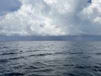 Great day of scuba diving in Key Largo with Rainbow Reef on eagle ray alley tropical destiny 2024 08 16 r16306 1