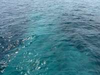 Great day of scuba diving in Key Largo with Rainbow Reef on elbow reef tropical destiny 2024 08 21 r16359 1