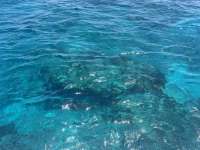 Great day of scuba diving in Key Largo with Rainbow Reef on fire coral cave tropical serenity 2024 08 12 r16283 1