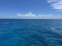 Great day of scuba diving in Key Largo with Rainbow Reef on french reef tropical destiny 2024 08 26 r16387 1