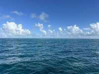 Great day of scuba diving in Key Largo with Rainbow Reef on french twist tropical destiny 2024 08 13 r16285 1