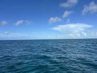 Great day of scuba diving in Key Largo with Rainbow Reef on french twist tropical destiny 2024 08 13 r16285 2