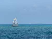 Great day of scuba diving in Key Largo with Rainbow Reef on molasses reef tropical destiny 2024 08 20 r16343 1