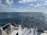 Great day of scuba diving in Key Largo with Rainbow Reef on nine channel tropical serenity 2024 08 08 r16243 1