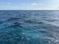 Great day of scuba diving in Key Largo with Rainbow Reef on permit ledges tropical destiny 2024 08 26 r16383 1
