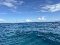 Great day of scuba diving in Key Largo with Rainbow Reef on permit ledges tropical destiny 2024 08 31 r16412 1