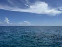 Great day of scuba diving in Key Largo with Rainbow Reef on permit ledges tropical odyssey 2024 08 13 r16290 1
